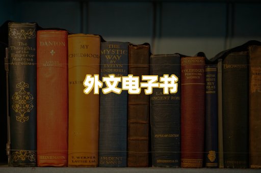 外文电子书